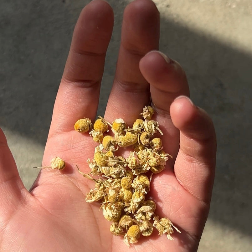 Pure Herbs